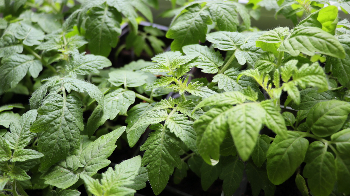    Фото: Legion-Media