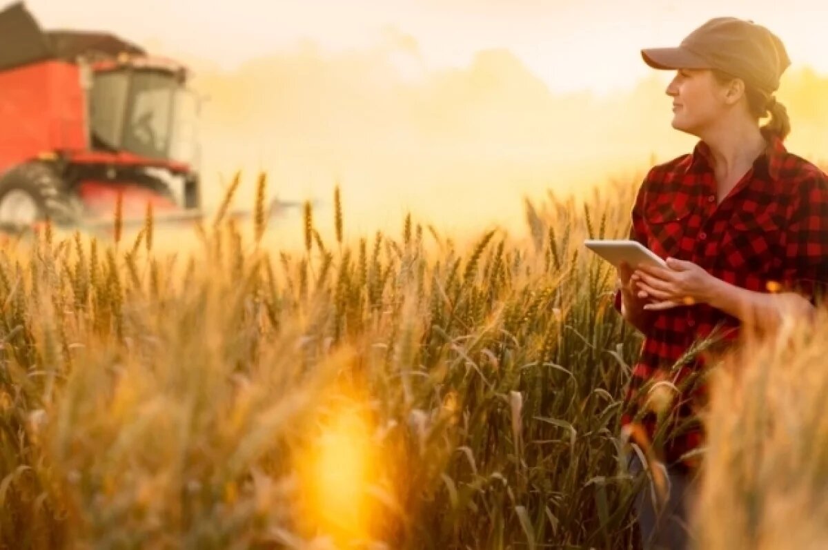    До 500 тысяч могут получить молодые специалисты в Новосибирской области