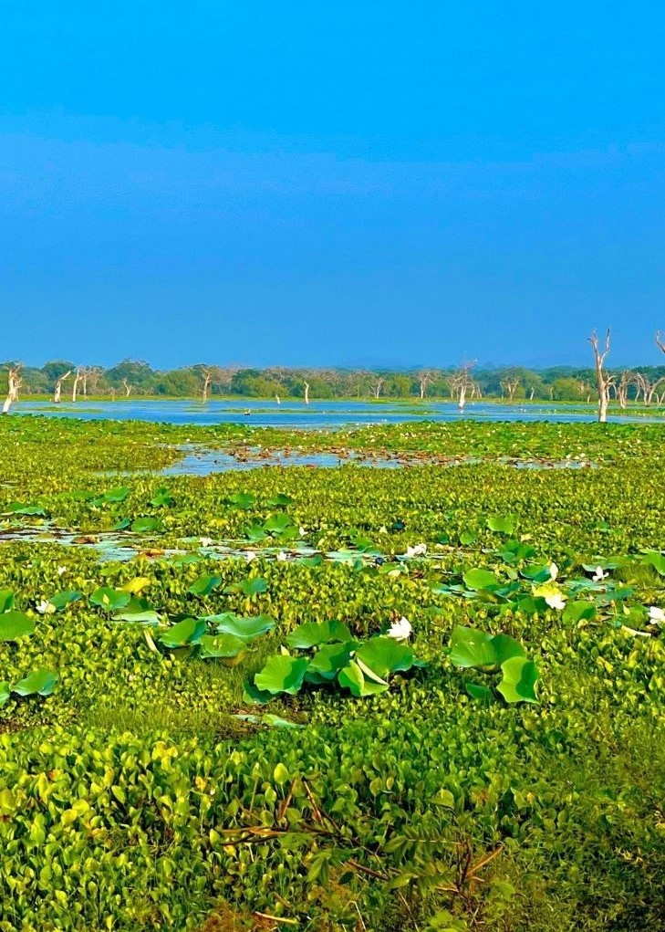Прогулка по лагуне