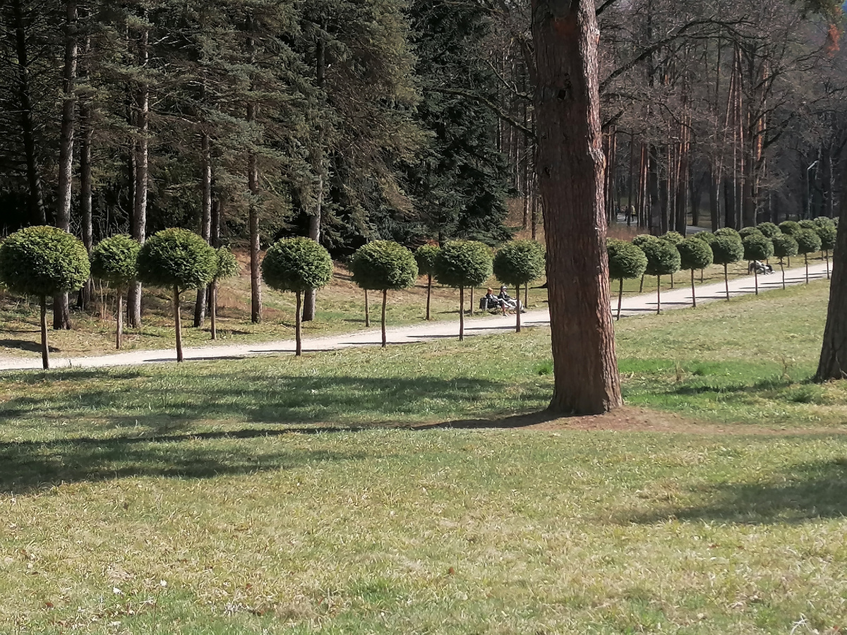 Средний парк. 