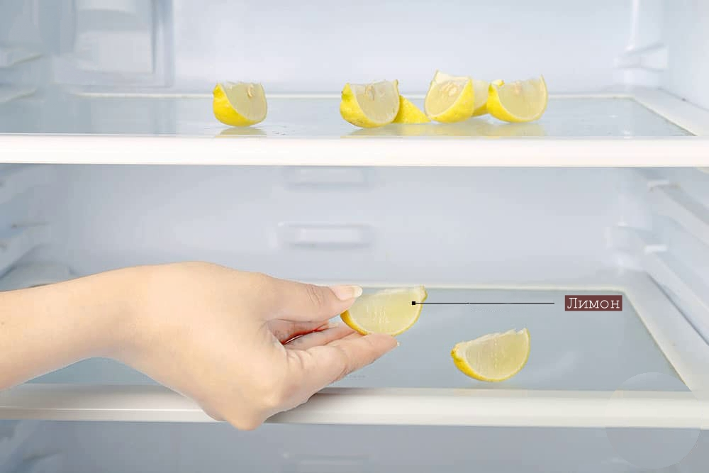 Фото с сайта: https://topsov.com/wp-content/uploads/2021/11/myte-holodilnika-ot-zapaha.jpg