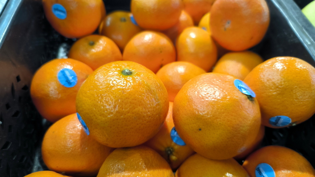    Maksim Konstantinov/Globallookpress