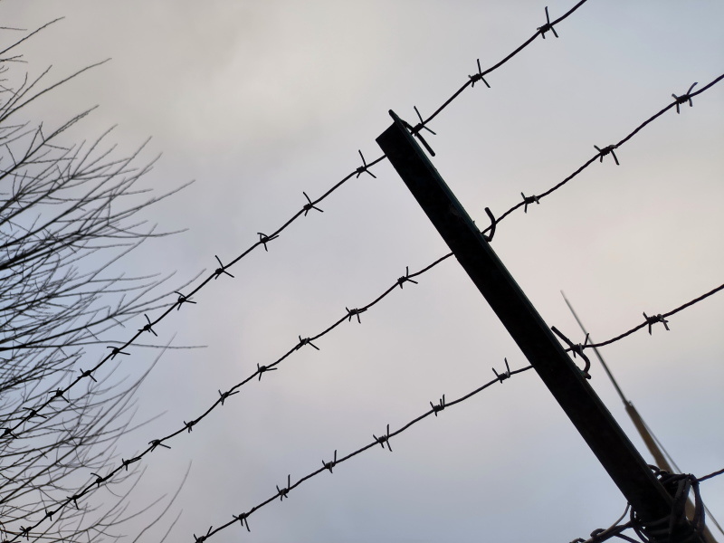    Фото: Maksim Konstantinov/Global Look Press