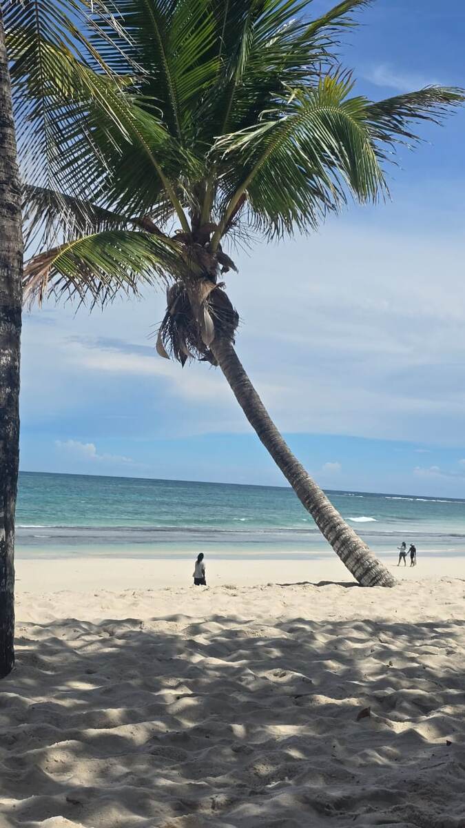 Солнце, пальмы, океан 