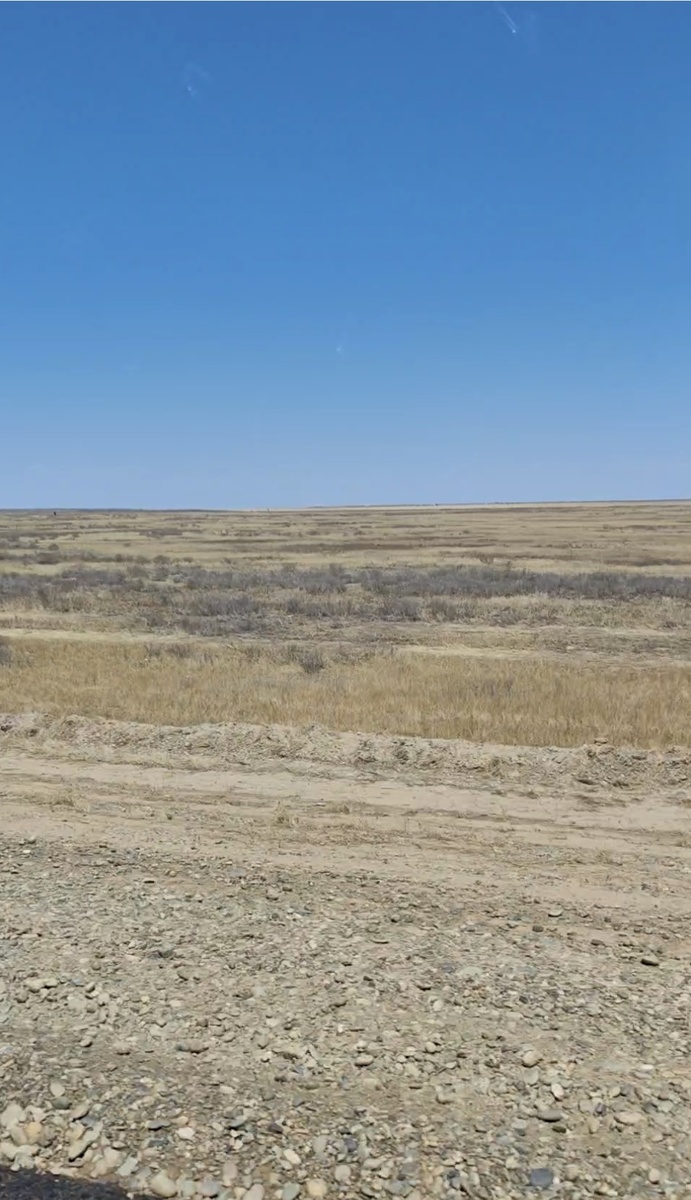 Примерно такая картина будет сопровождать Вас на бОльшей части пути по территории Калмыкии. Степь да степь. Я бы даже сказала, полупустыня. Надо сказать, что весной степь совершенно иная, свежая и цветущая