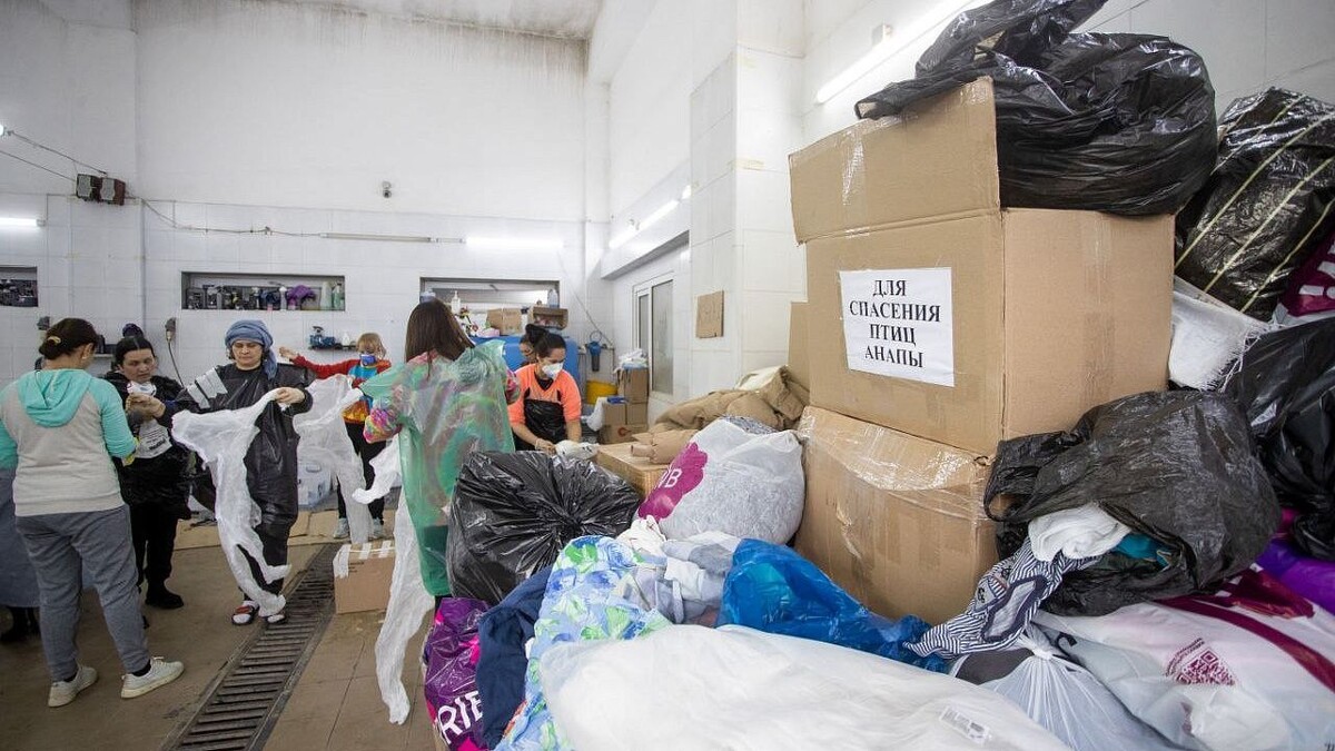    Фото: пресс-служба администрации Анапы