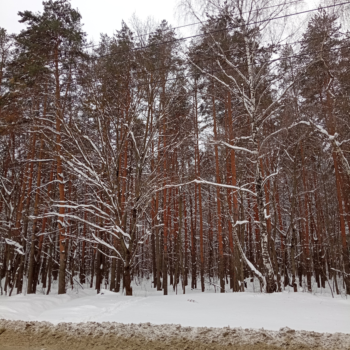 Декабрь в городе