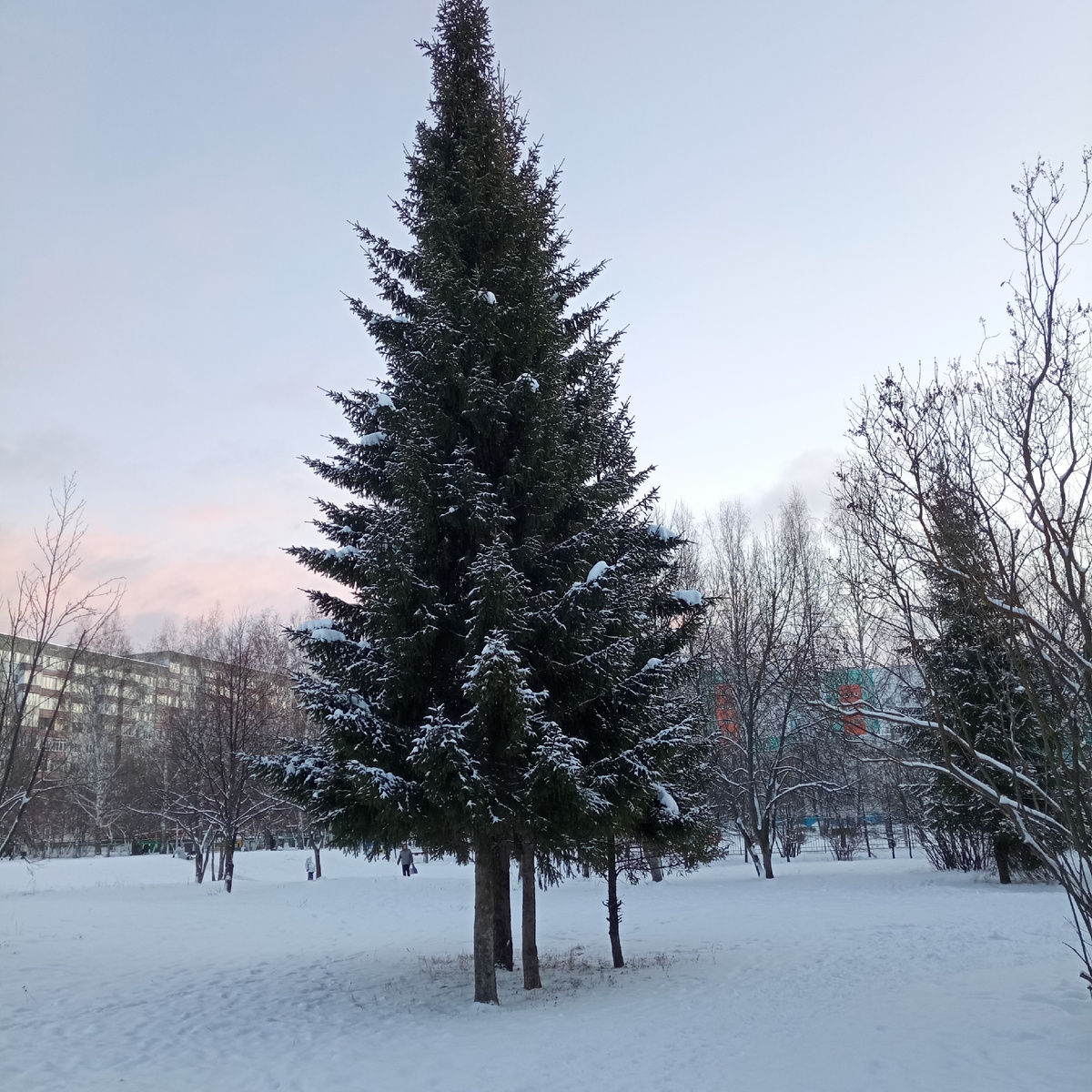 Ёлочка для обложки статьи