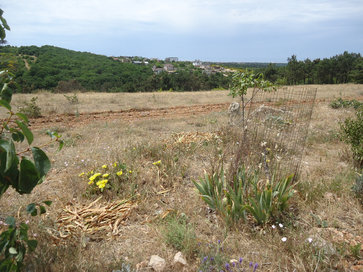 Начало пути
