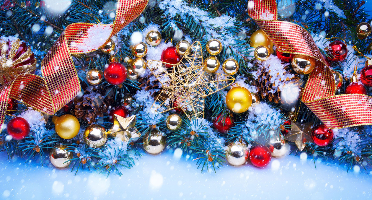 Фото из интернета.