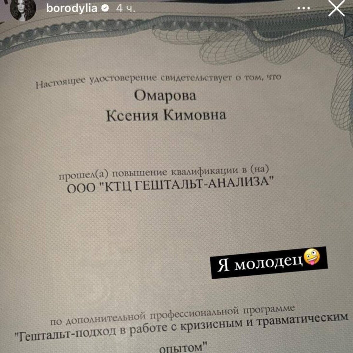    Диплом Ксении Бородиной Соцсети