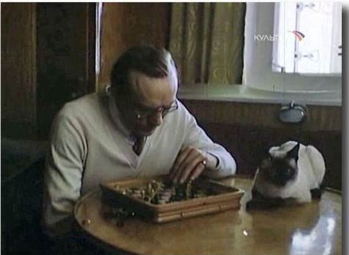 Кадр из фильма "Белый снег России"(1980), снятый по книге А.Котова "Белые и чёрные". Автор сценария А. Котов. В роли А. Алехина - А. Михайлов. Фотоография с сайта https://kotbeber.livejournal.com/3887318.html