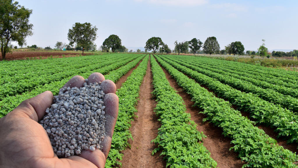 19 декабря, 2024   Сельское хозяйство, Торговля, Экспорт   От Поворот России в Азию