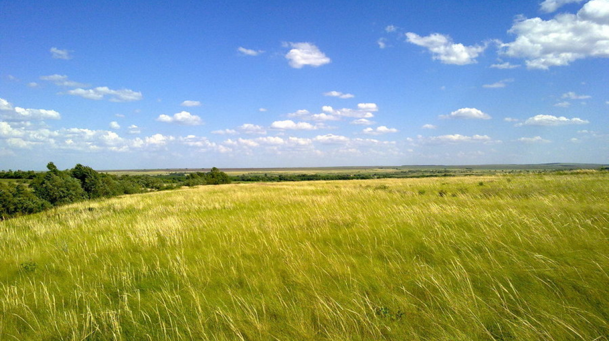 Из открытого доступа в Интернете