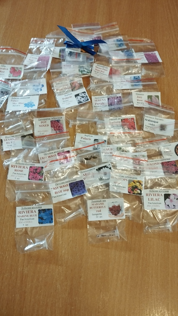 Мои новинки