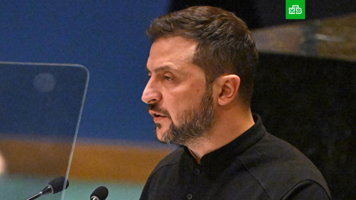    Фото: РИА Новости © 2024, Сергей Гунеев