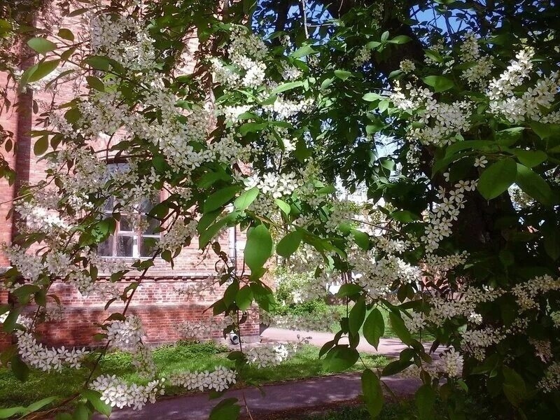 Фото из интернета