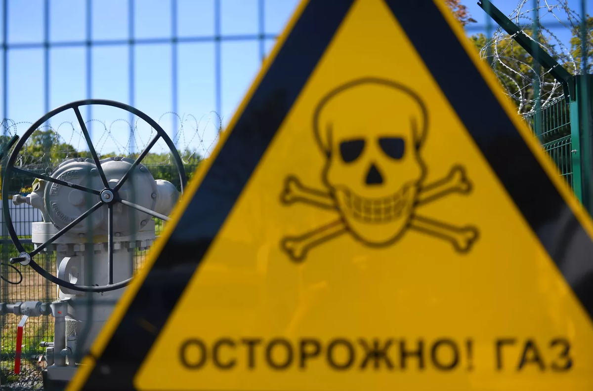 © Sputnik / Максим Богодвид 