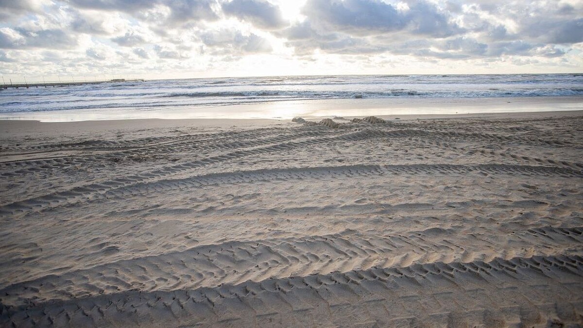    Фото: пресс-служба администрации Анапы