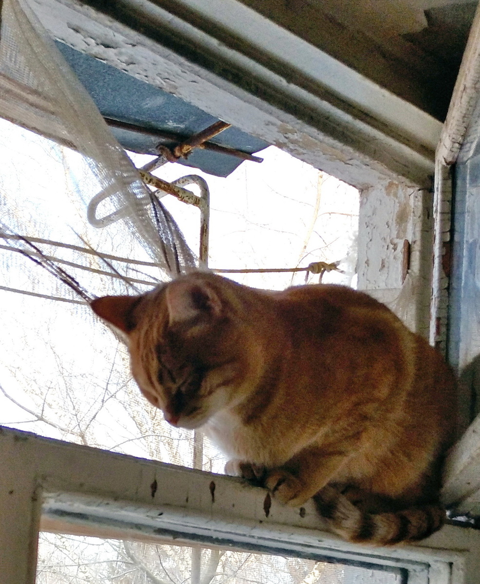 личное фото