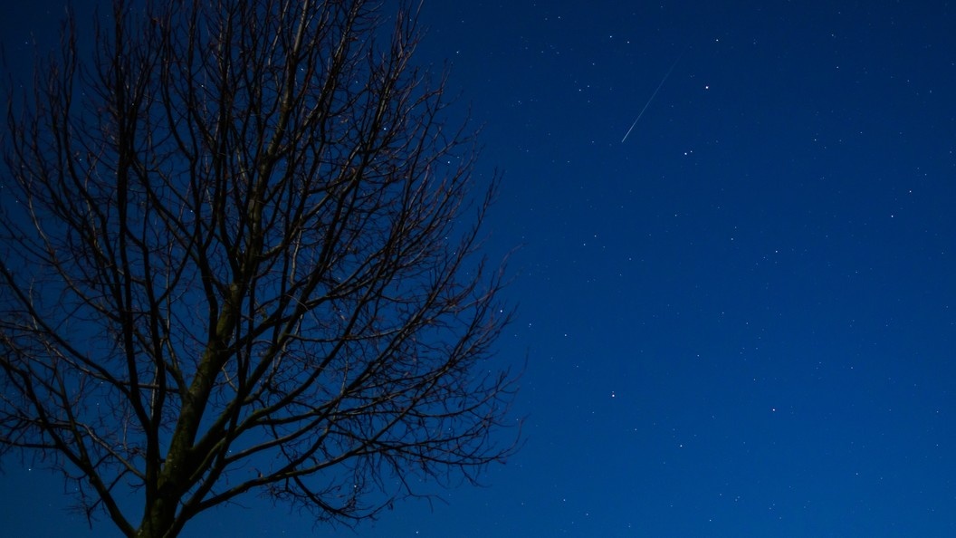    Фото: Patrick Pleul/Globallookpress