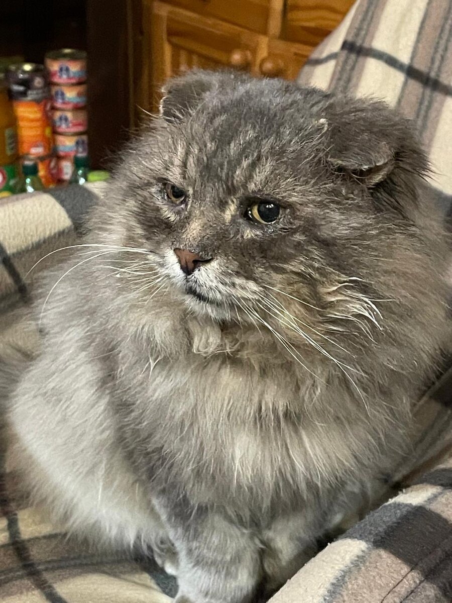 Дымок мне сейчас таааакое рассказал! Везде фото автора.