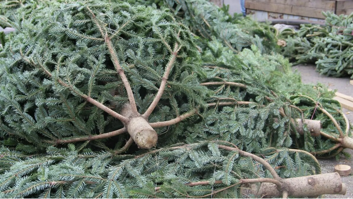 © Department of Environmental Supervision