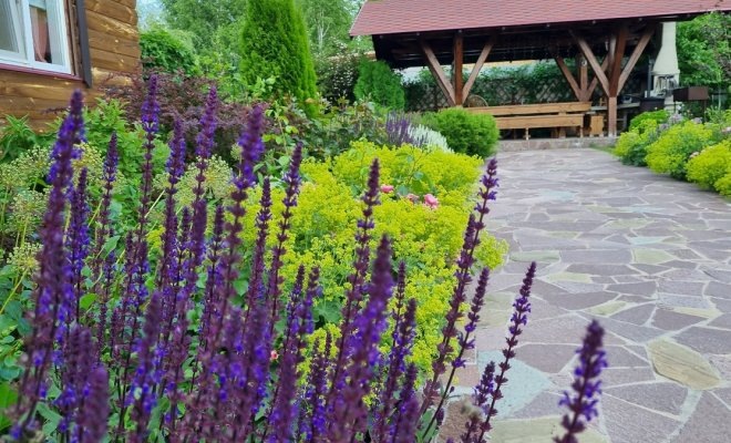 Фото Натальи Козырецкой