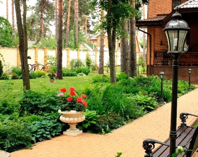 Фото Натальи Мягковой