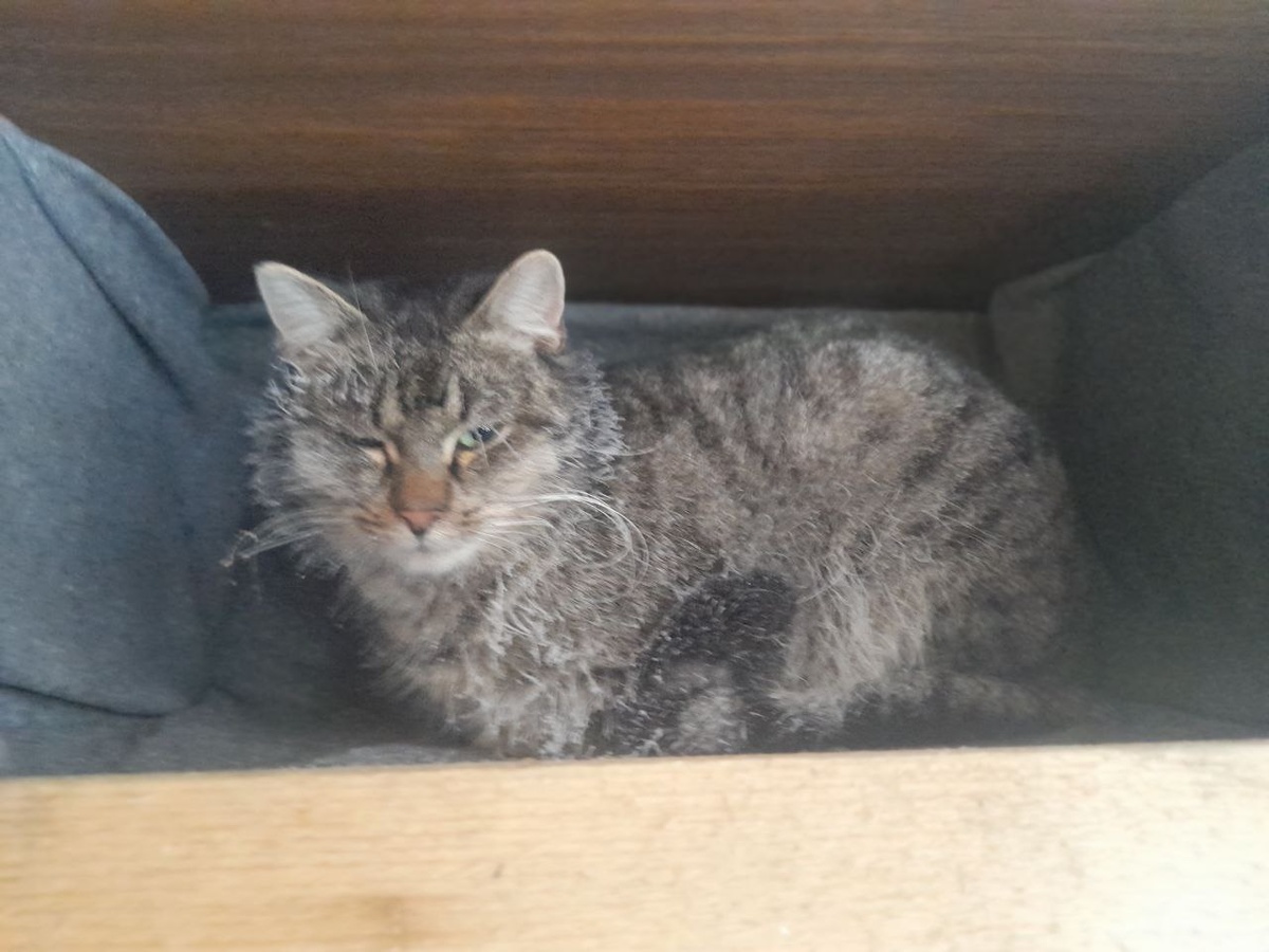 Трус утром при -25 в домике