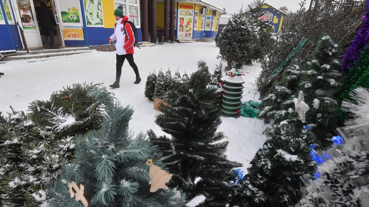    Фото: Komsomolskaya Pravda/Global Look Press