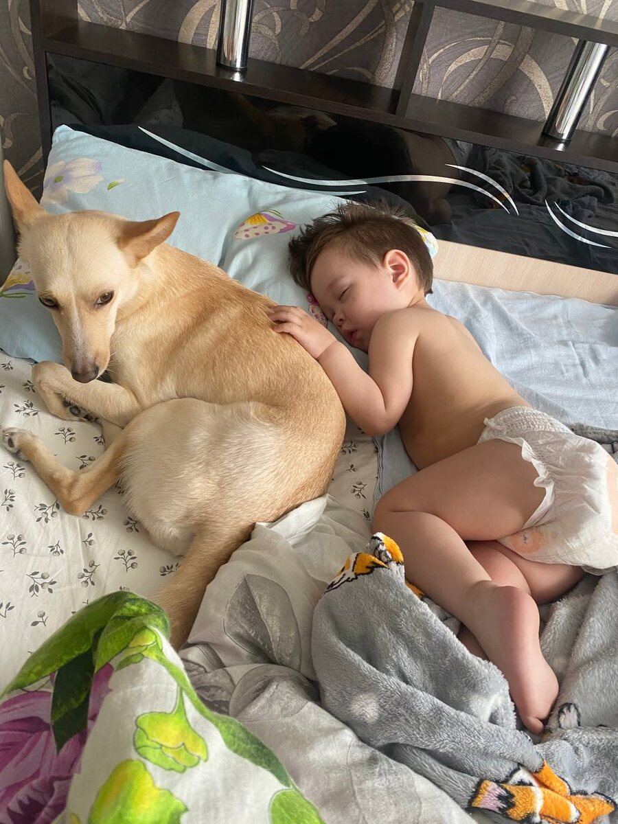 Под охраной 