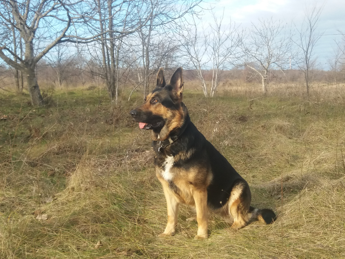 Фото автора