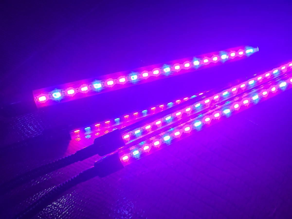 Фото автора, фитолампа, ноябрь 2024 года