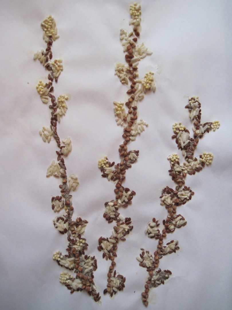 Ориби Каммпирр - Детский конкурс - Семена и плоды в журнале Колосок © Copyright Ориби Каммпирр