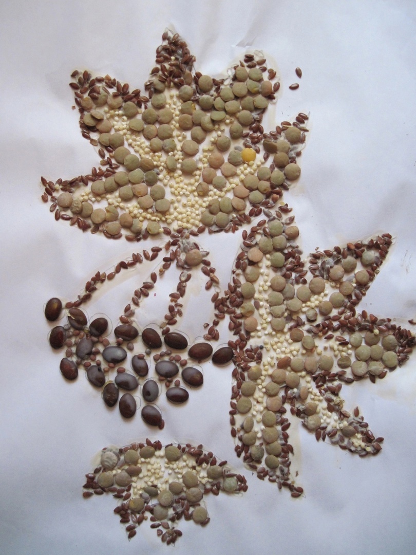 Ориби Каммпирр - Детский конкурс - Семена и плоды в журнале Колосок © Copyright Ориби Каммпирр