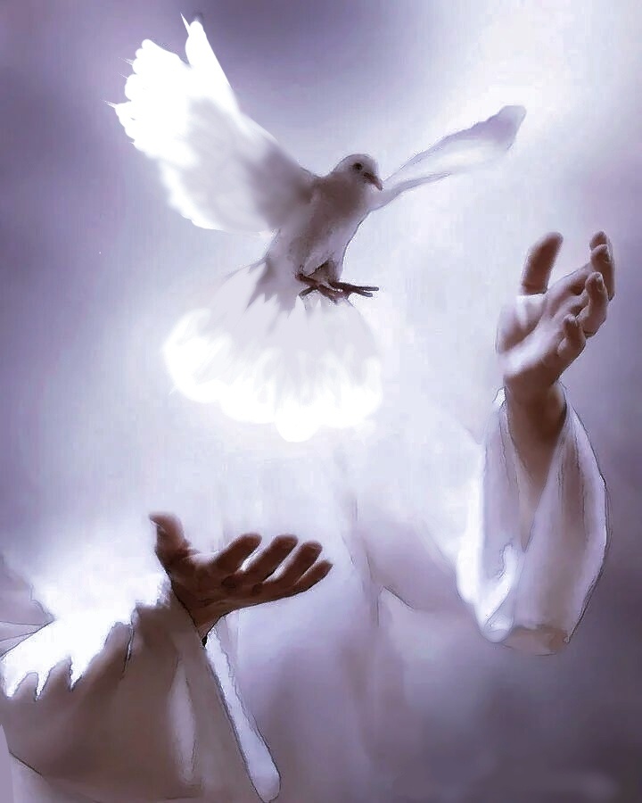 Найдено в сети