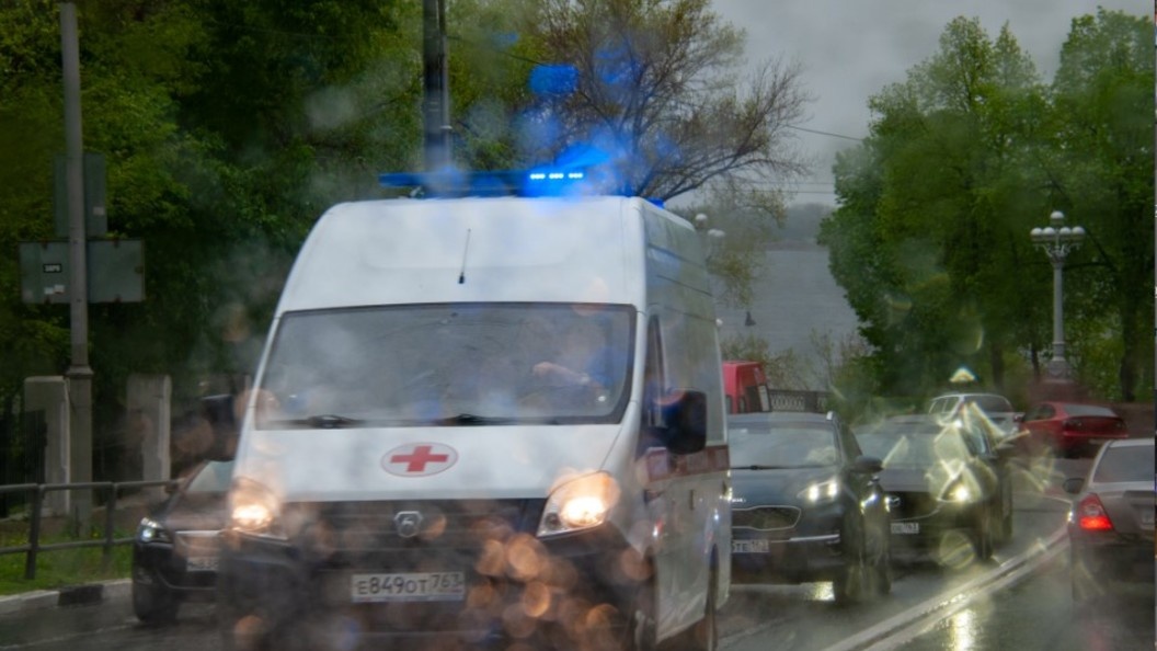    Svetlana Vozmilova/Globallookpress