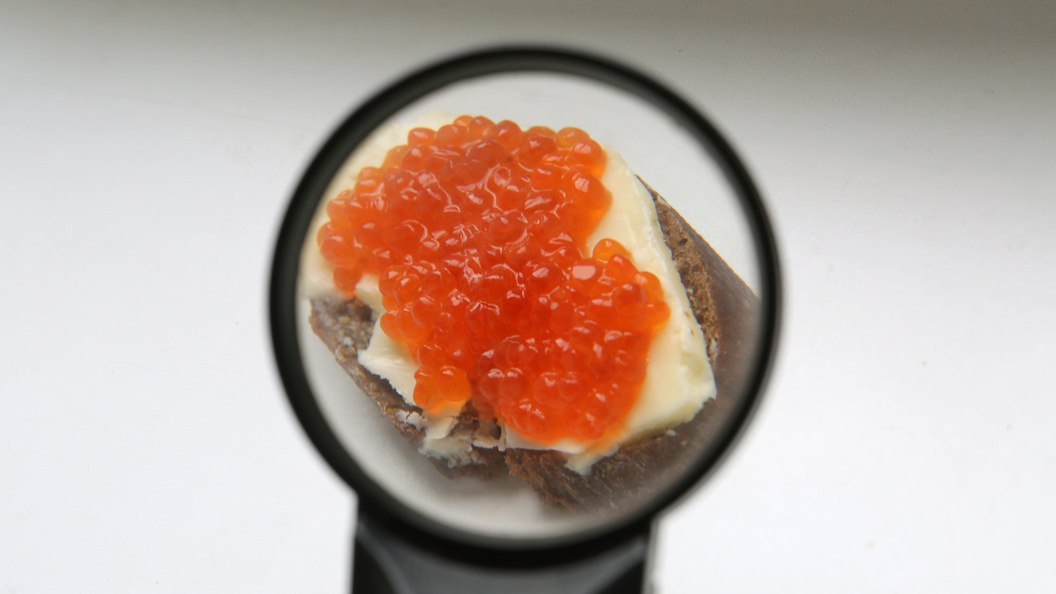    Фото: Nikolay Gyngazov/Global Look Press/Globallookpress