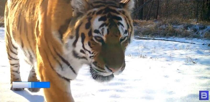    Источник фото: