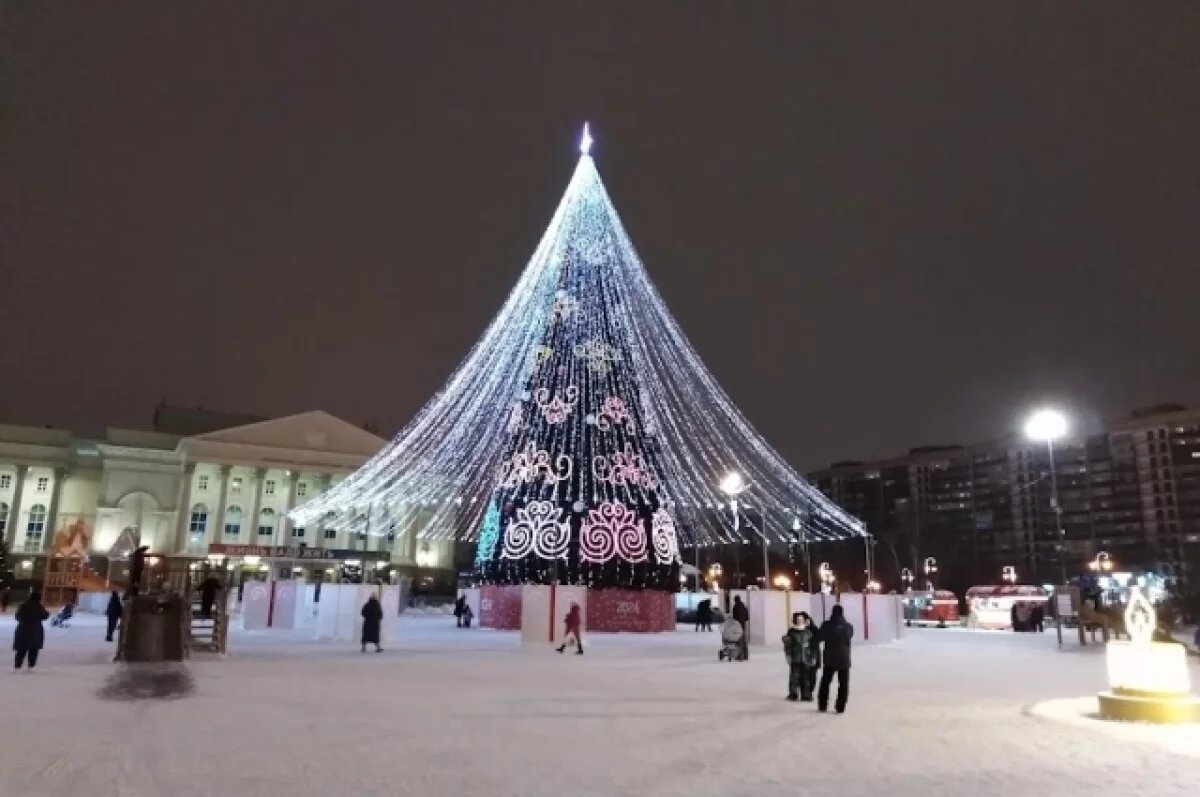    В Тюмени народные дружины будут следить за порядком в общественных местах