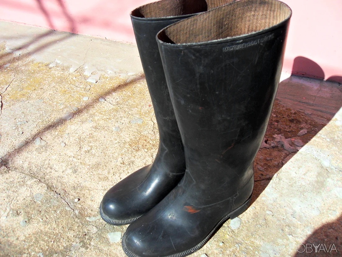 фото из интернета.