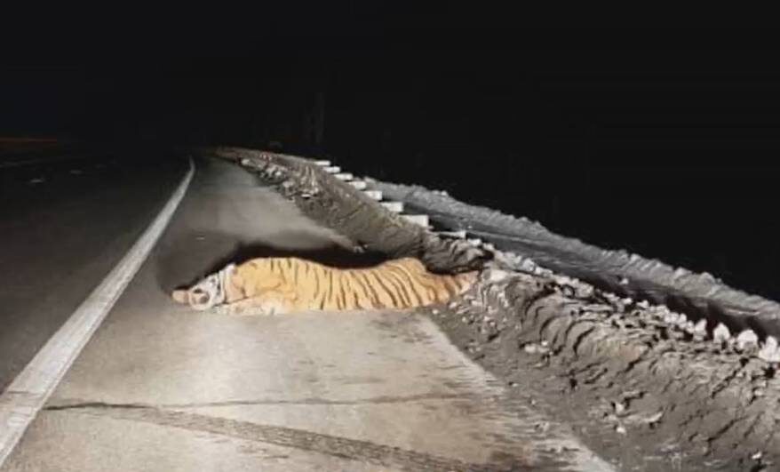    Источник фото: