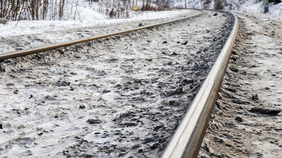    Фото: Elena Mayorova/globallookpress.com