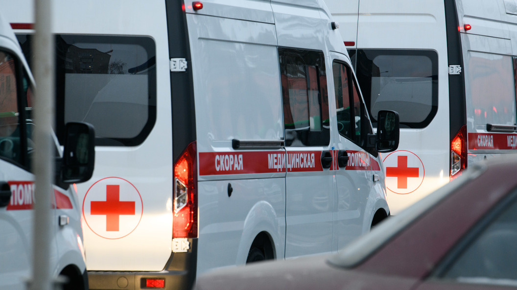    Фото: Ilya Moskovets/Globallookpress