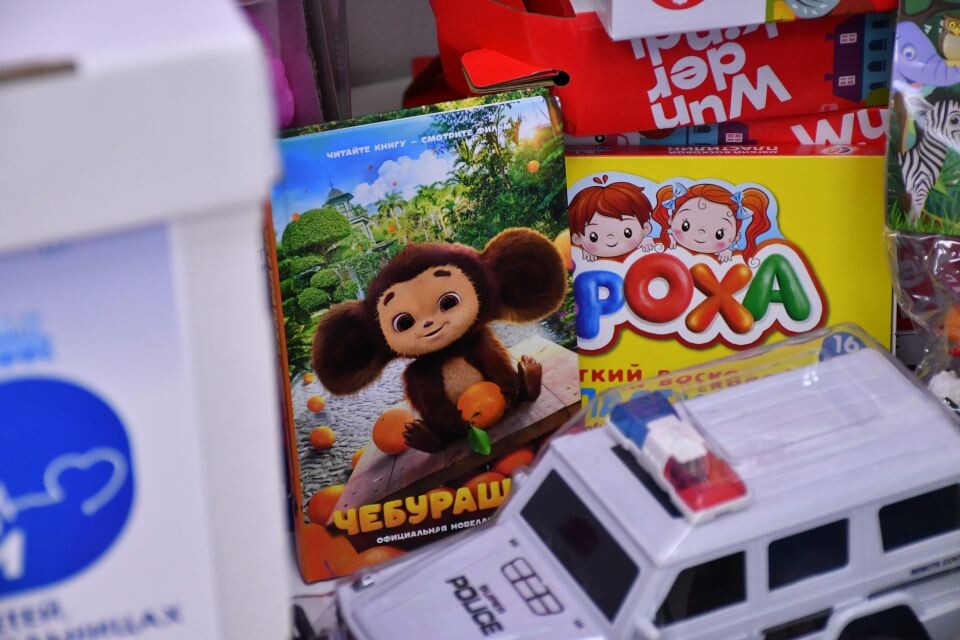    Акция "Коробка храбрости". Источник: пресс-служба партии "Единая Россия"