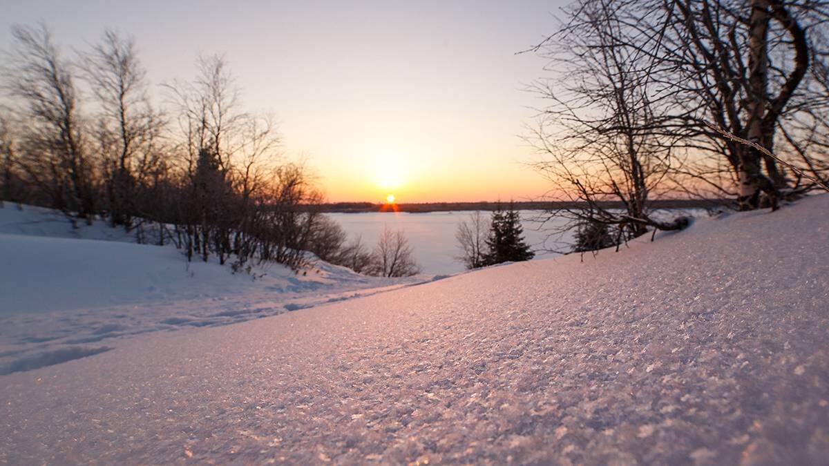    Фото: Shutterstock