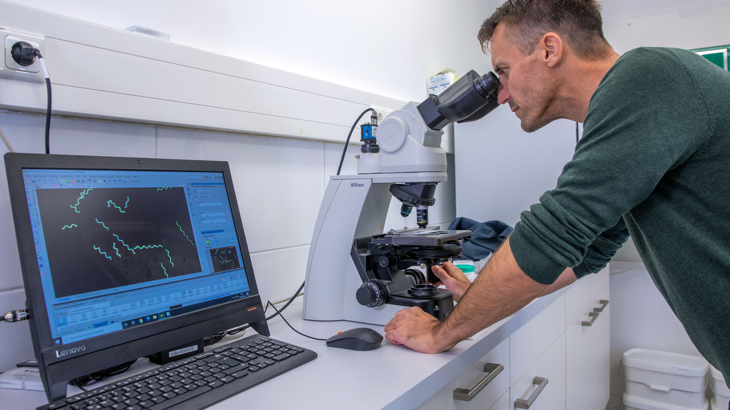    Фото: Jens Büttner/dpa/Globallookpress