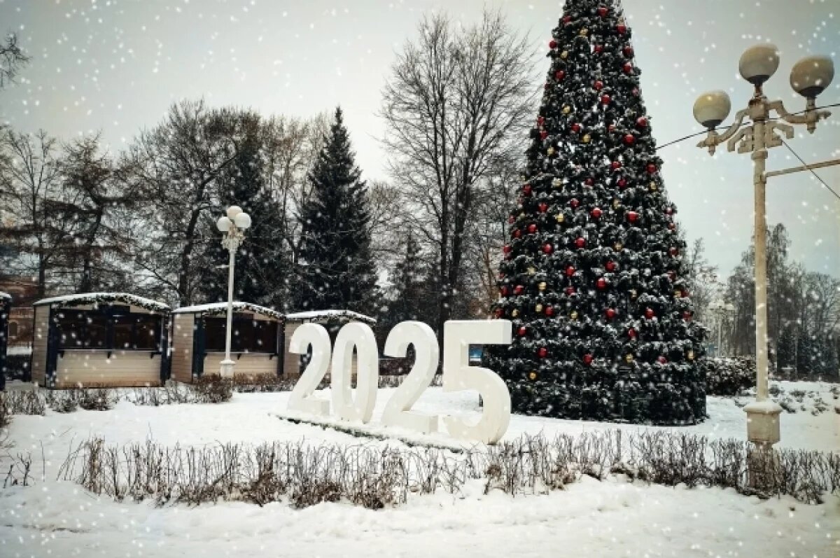    Новогодние городки оформляют на пл. Сахарова и «арбате» в Барнауле