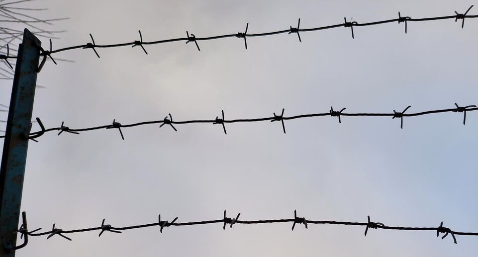    Maksim Konstantinov / Global Look Press